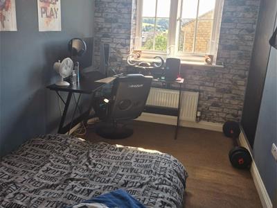 Picture 13